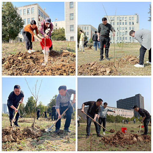 1646984424218697.jpg 3.jpg